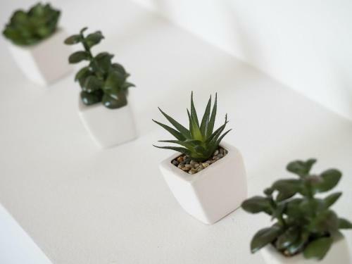 Apartamentos Croatica Suites Podsolarsko