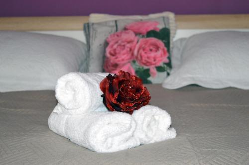 Am�lie Apartment