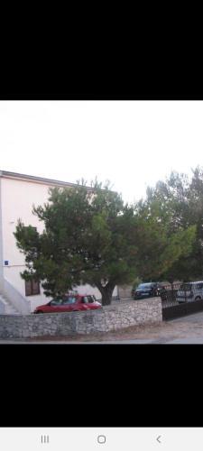 Apartman ?uperba A1