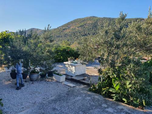 Apartman Mare