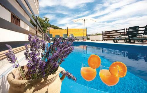 Apartman Zita