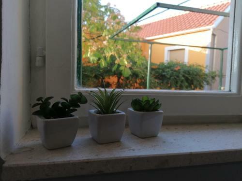 Apartman Luna