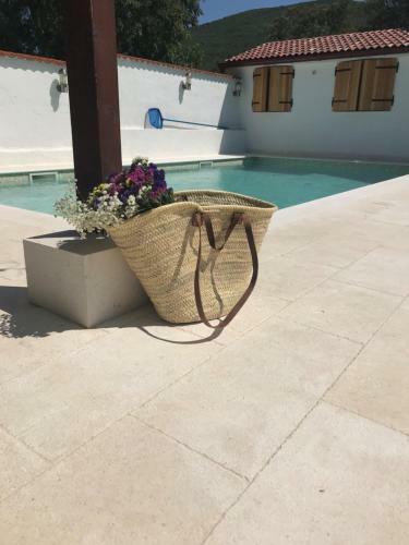 Villa Holiday Home Chichichi