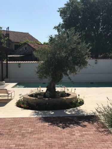 Villa Holiday Home Chichichi