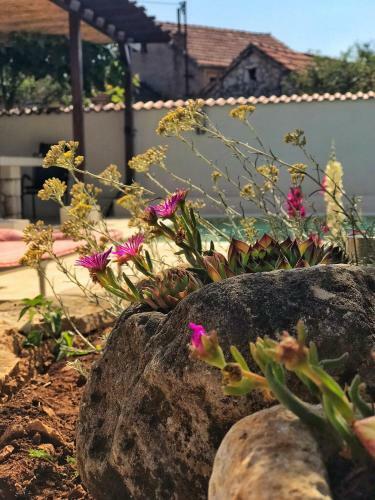 Villa Holiday Home Chichichi