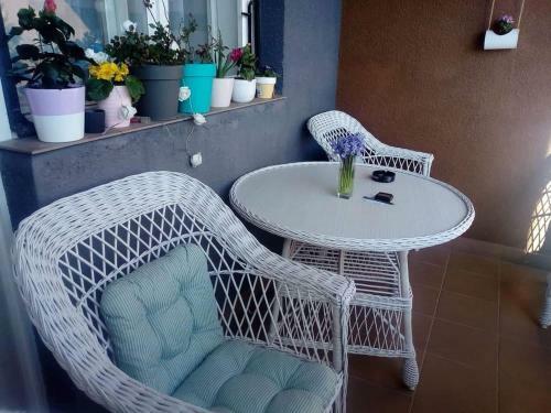 Good Vibes Apartment