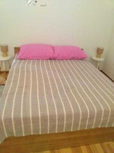 Apartment Darinka