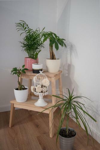 Apartamento Solis