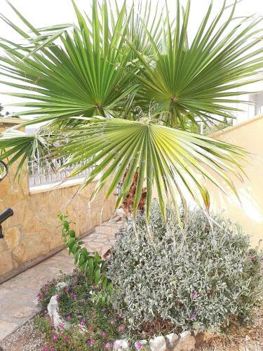 Apartman Dawidh