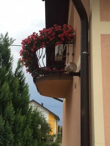 Apartman Hubertus 5*
