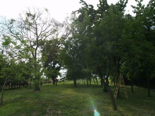 Hotel Pannonia Terranova B&B