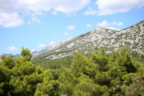 Apartamento Villa Francesca