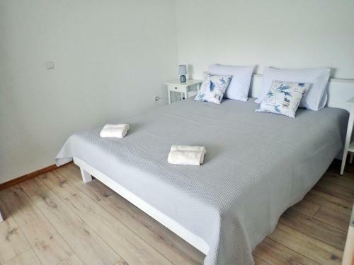 Apartments Vallis