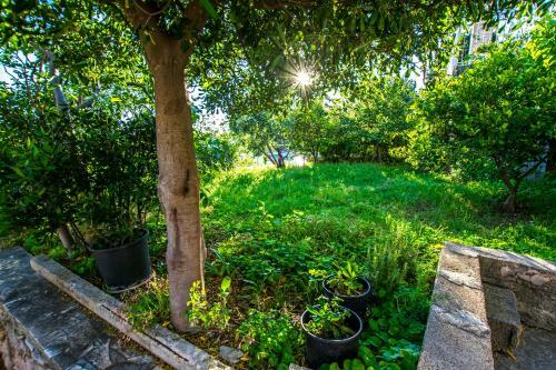 Apartment Nata With Beautiful Sea View