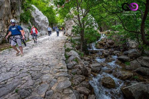 Apartment In Starigrad-paklenica 40050