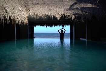Hotel Green Organic Villas