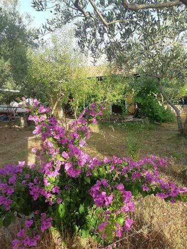 Apartamento House Anka