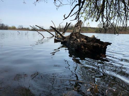 Apartamento Loft An Der Havel Mit Whirlpool