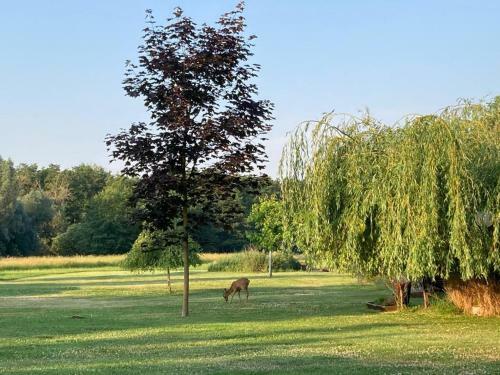 Apartamento Loft An Der Havel Mit Whirlpool
