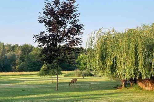 Apartamento Loft An Der Havel Mit Whirlpool