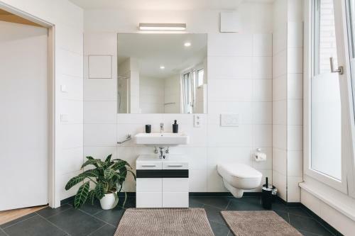 Apartamento Moderne 2-raumwohnung Im Zentrum Von Dresden