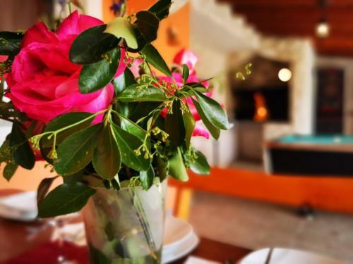 Villa Holiday Home Skaric