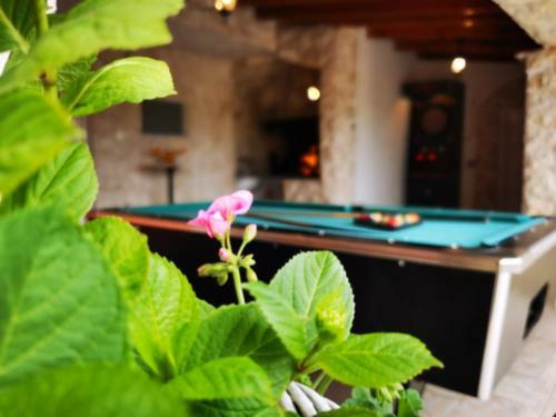 Villa Holiday Home Skaric