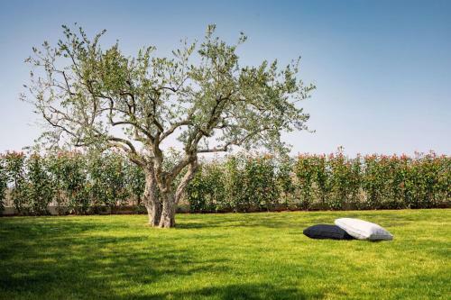 Villa Dolce Vita With Steam Bath