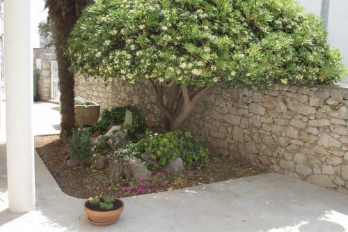 Apartmani "mali Mago"