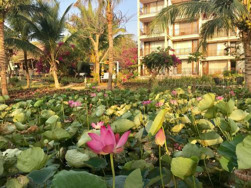Hotel Fiore Healthy Resort