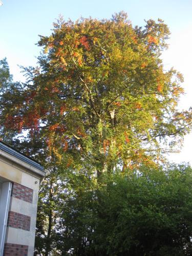 Bed & Breakfast Ch�teau De Launay