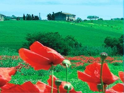 Hostal Luconi Affittacamere