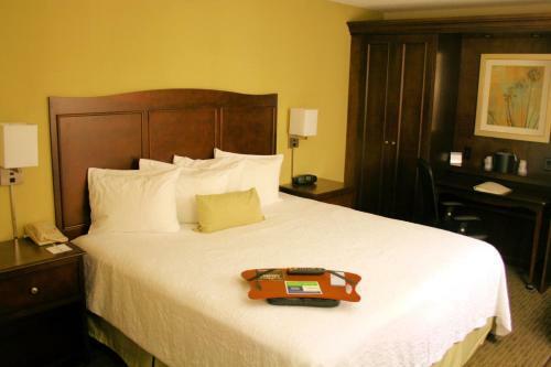 Hotel Hampton Inn Kansas City - Airport