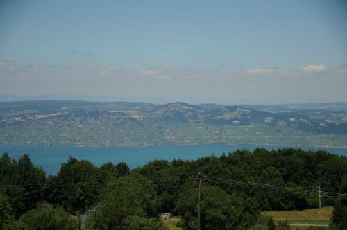 Apartamento Studio Les Iris 18 Station Thollon Les M�mises