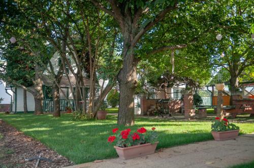 Bed & Breakfast Tiszavir�g Panzi� �s �d�l?k�zpont