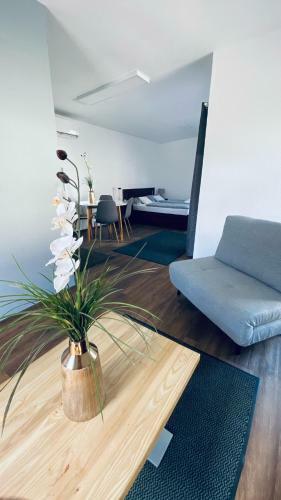 Bed & Breakfast Tiszavir�g Panzi� �s �d�l?k�zpont