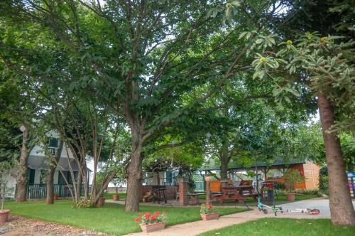 Bed & Breakfast Tiszavir�g Panzi� �s �d�l?k�zpont