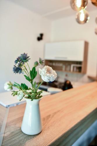 Hostal Marika Vend�gh�za