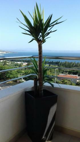 Apartment Lijana Sea View