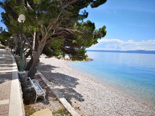 Hostal Apartmani Maja