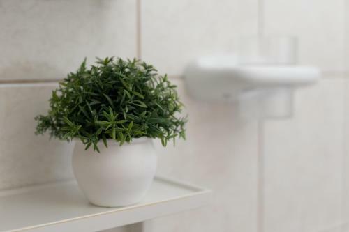 Apartments Barba