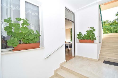 Apartamento Rooms Borka