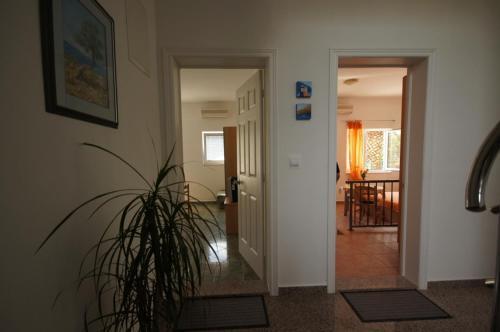 Studio Apartment In Tucepi With Air Conditioning, Wifi, Washing Machine 202-1