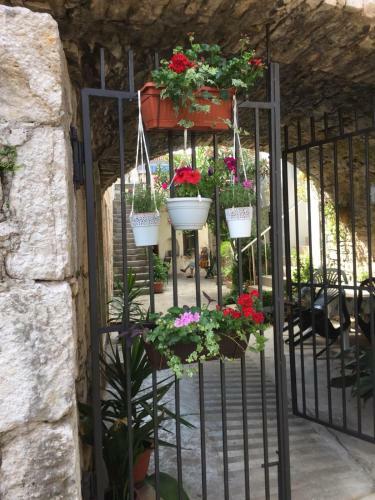 Apartment Lavender