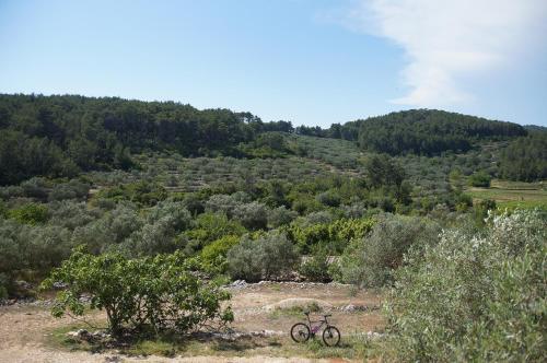 Holiday Home Liberan