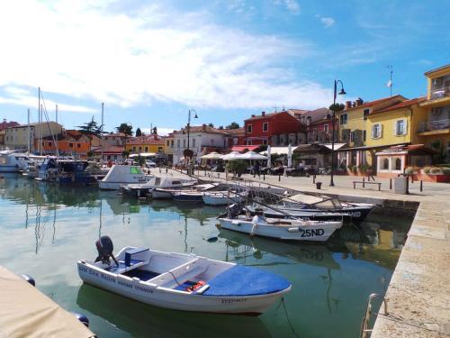 Apartment In Vela Luka - Insel Korcula 39021