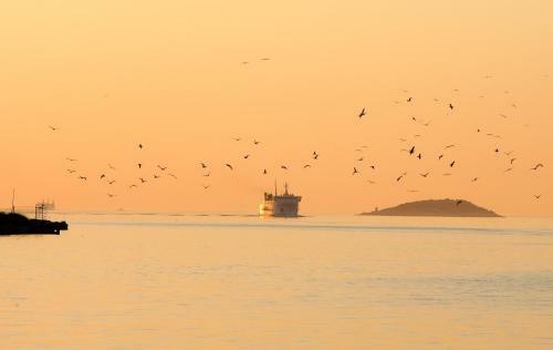 Apartamento Boris