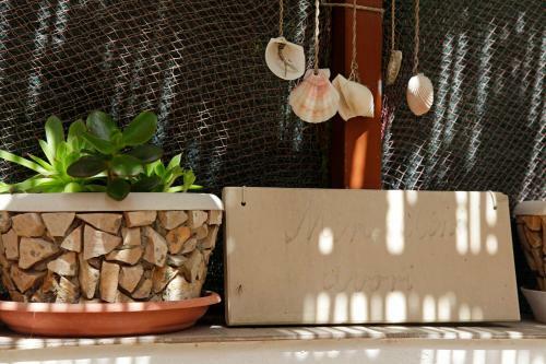 Apartman Miranda