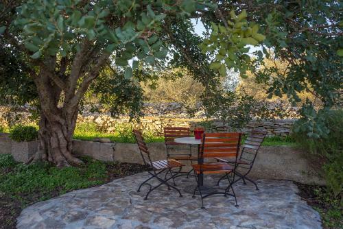 Holiday House Roza