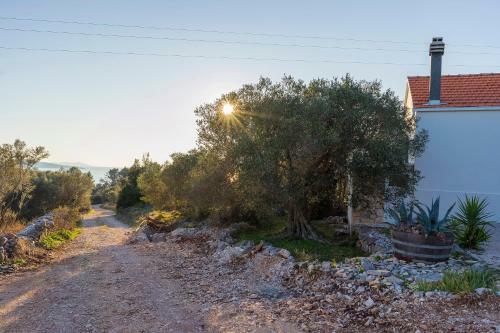 Holiday House Roza